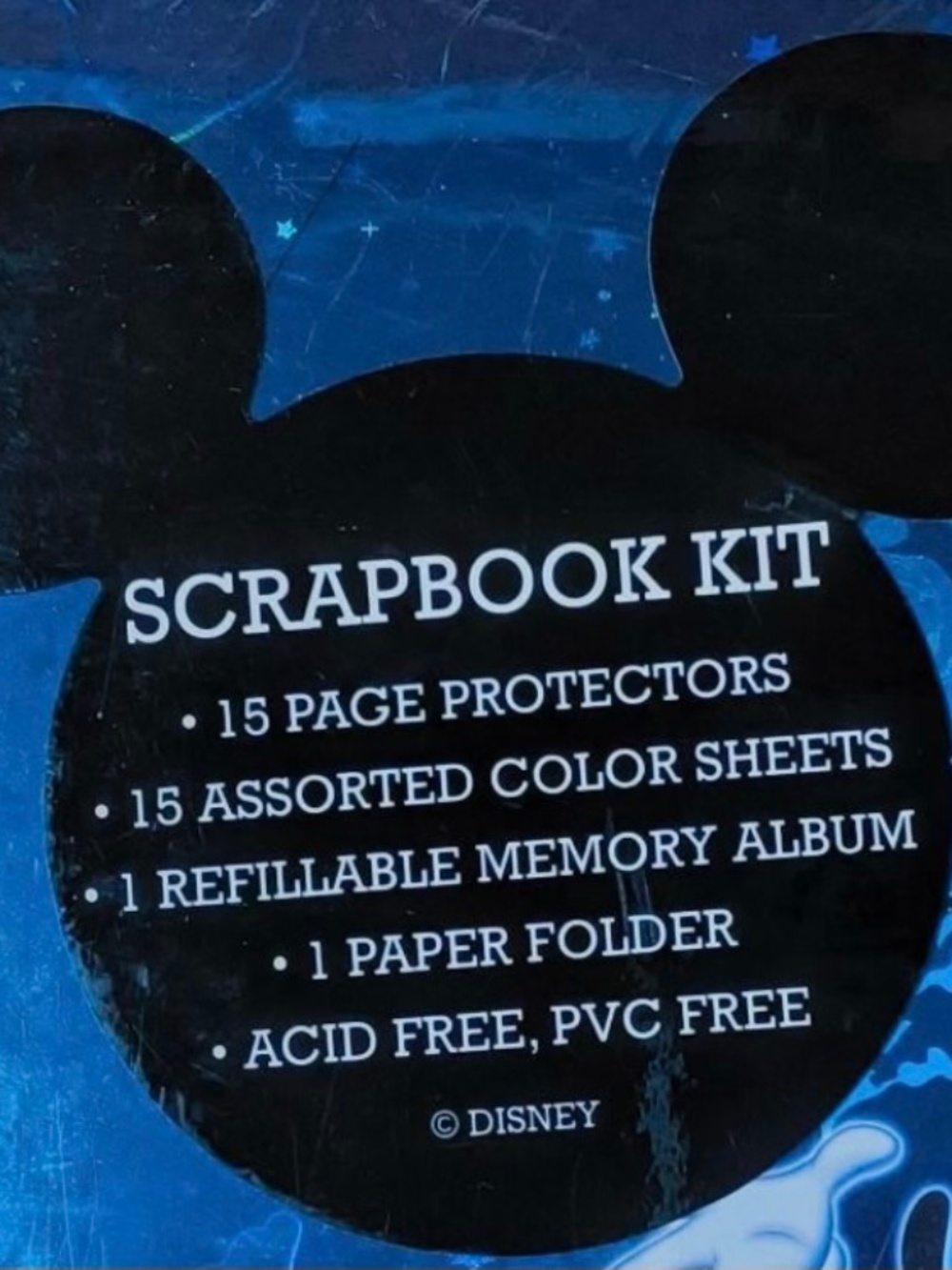 Disney Scrapbook 12 x 12 - Picture 3 of 3